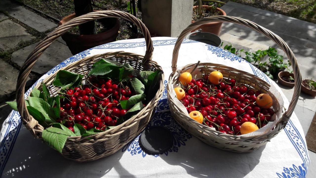 The Italian Riviera Bed and Breakfast San Salvatore  Exteriör bild