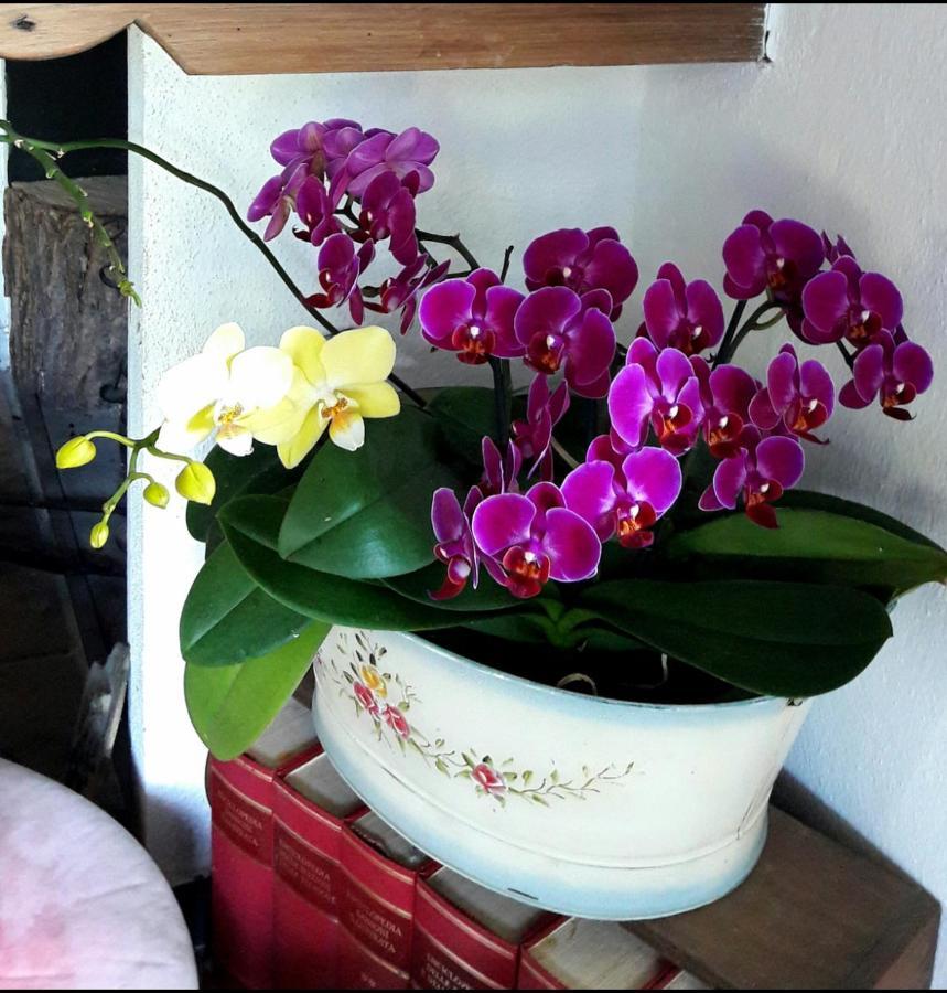 The Italian Riviera Bed and Breakfast San Salvatore  Exteriör bild