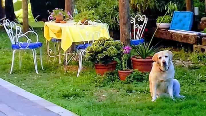The Italian Riviera Bed and Breakfast San Salvatore  Exteriör bild